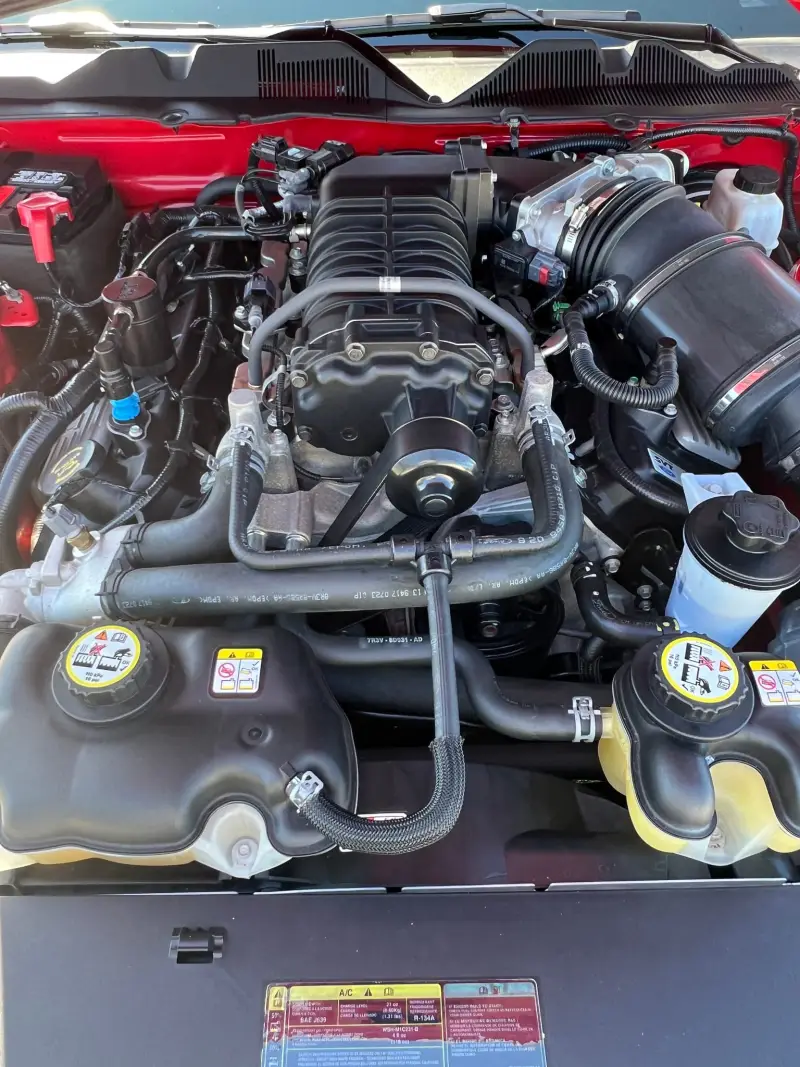 2010 Ford Mustang Shelby GT500 Convertible photo 34